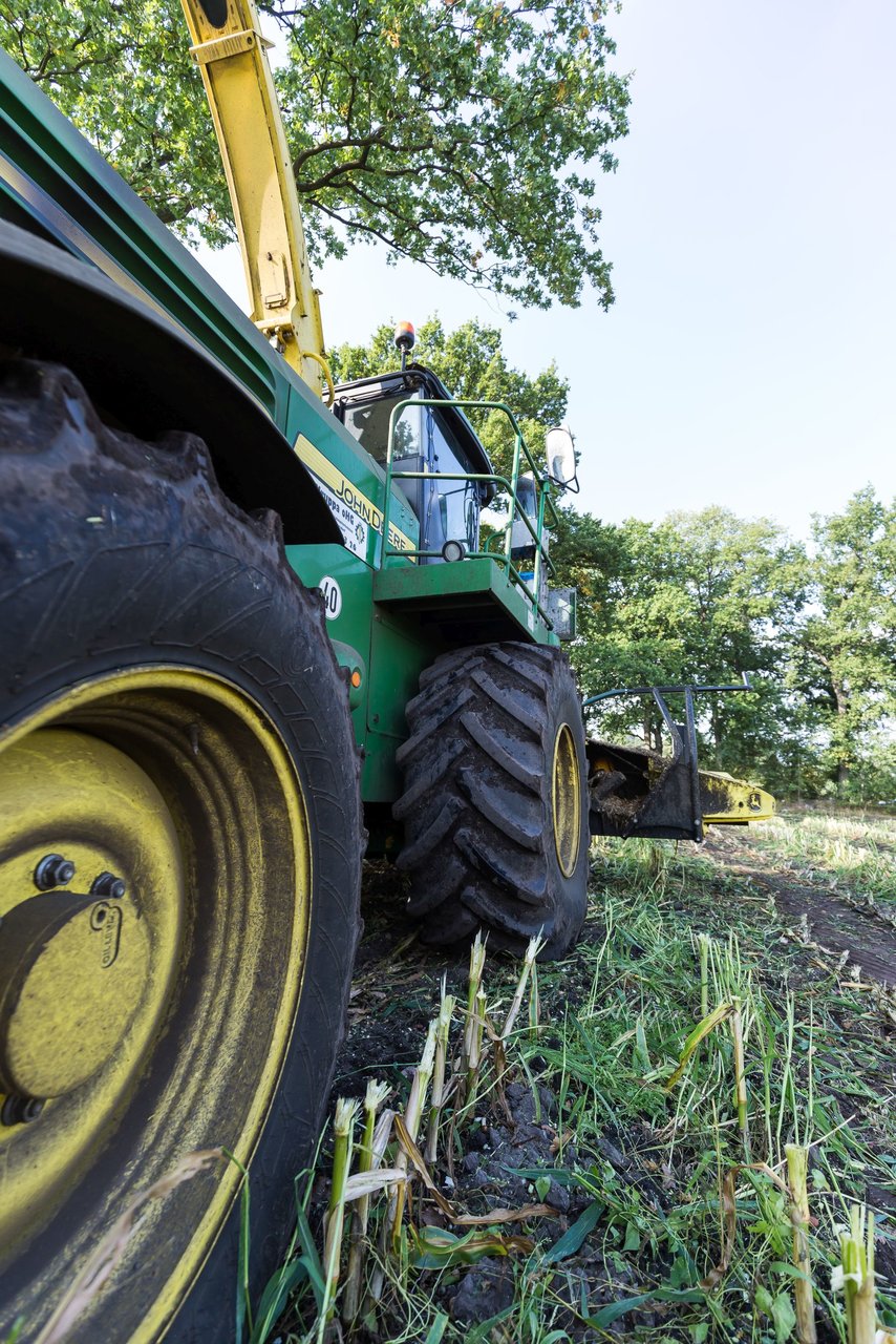 Bild 241 - Maisernte